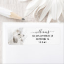 Search for poodle return address labels Dog