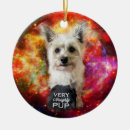 Search for cairn terrier ornaments Puppy