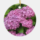 Search for hydrangea ornaments Pink