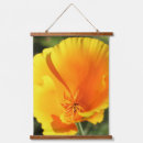 Search for california poppy art Yellow