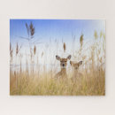 Search for long island puzzles Animals in the wild