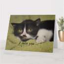 Search for i miss you cards Kitten
