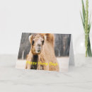 Search for hump day camel santa cards Animal