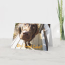 Search for funny dog birthday cards Happy