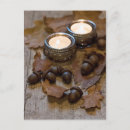 Search for acorn postcards Nature