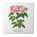 Search for mountain tiles Elegant