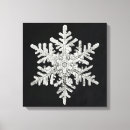 Search for snowflakes canvas prints White
