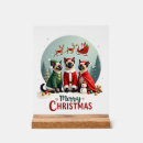 Search for christmas wall treatments Cat