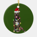 Search for pitbull ornaments Santa