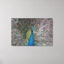 Search for 3 panel canvas prints Triptych