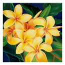 Search for hawaiian posters Floral