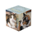 Search for pet photo cubes In loving memory