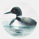Search for loon stickers Minnesota state bird