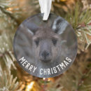 Search for kangaroo ornaments Animal