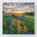 Search for flower clocks Springtime