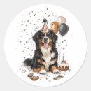 Search for bernese mountain dog stickers Puppy