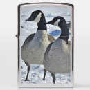 Search for 6 geese laying gifts Canada