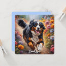 Search for bernese mountain dog cards Colorful