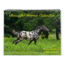 Search for appaloosa wild