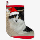 Search for black and white cat christmas stockings Cute