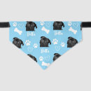 Search for photo dog collars Puppy
