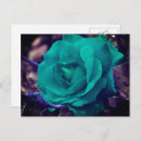 Search for business moving postcards Blue