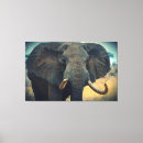 Search for elephant canvas prints African