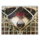 Search for eye calendars animal