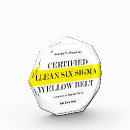 Search for six sigma Lean