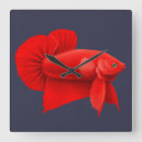 Search for betta fish art Aquarium