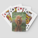 Search for scotland playing cards Highland