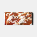 Search for thanksgiving favors Orange