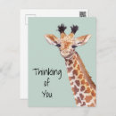 Search for thinking of you postcards cute