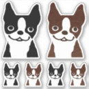 Search for brindle boston terrier Cute