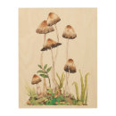Search for mushroom art Brown