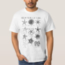 Search for starfish tshirts Sea star