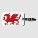 Search for dragon luggage tags Creature