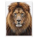 Search for face temporary tattoos Lion