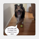 Search for sheltie gifts Funny dog