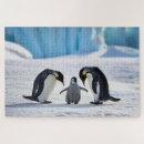 Search for penguin puzzles Snow