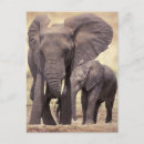 Search for tanzania Environment