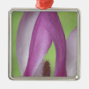 Search for magnolia ornaments Bloom