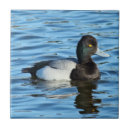Search for duck tiles Waterfowl