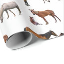Search for pony wrapping paper Colt