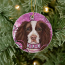 Search for english springer spaniel ornaments Spaniels