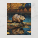 Search for post your beaver Wildlife