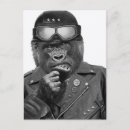 Search for funny monkey postcards Gorilla