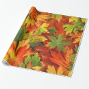 Search for green and gold wrapping paper Leaf