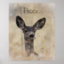 Search for mule posters Animal
