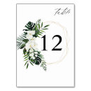 Search for tropical numbers table cards Modern